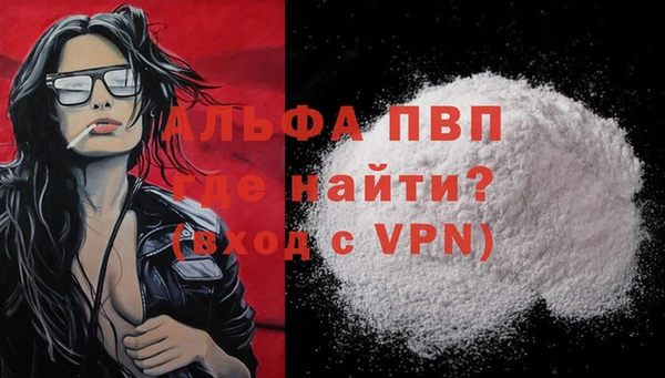 молекула духа Весьегонск
