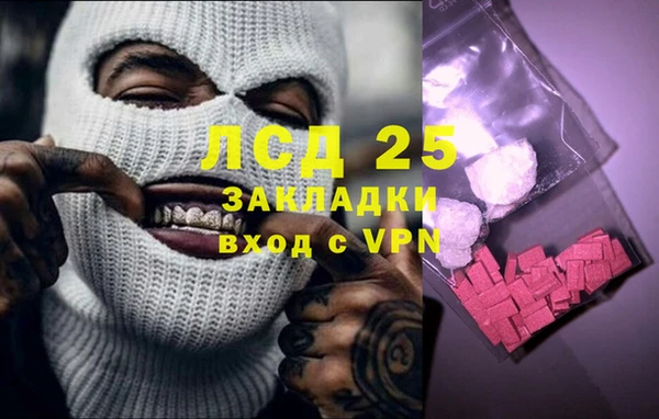 прущие грибы Алзамай