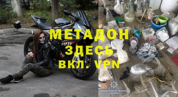 прущие грибы Алзамай