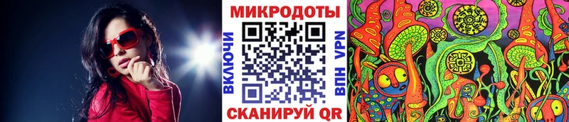 Галлюциногенные грибы Psilocybine cubensis  где найти наркотики  Бабушкин 